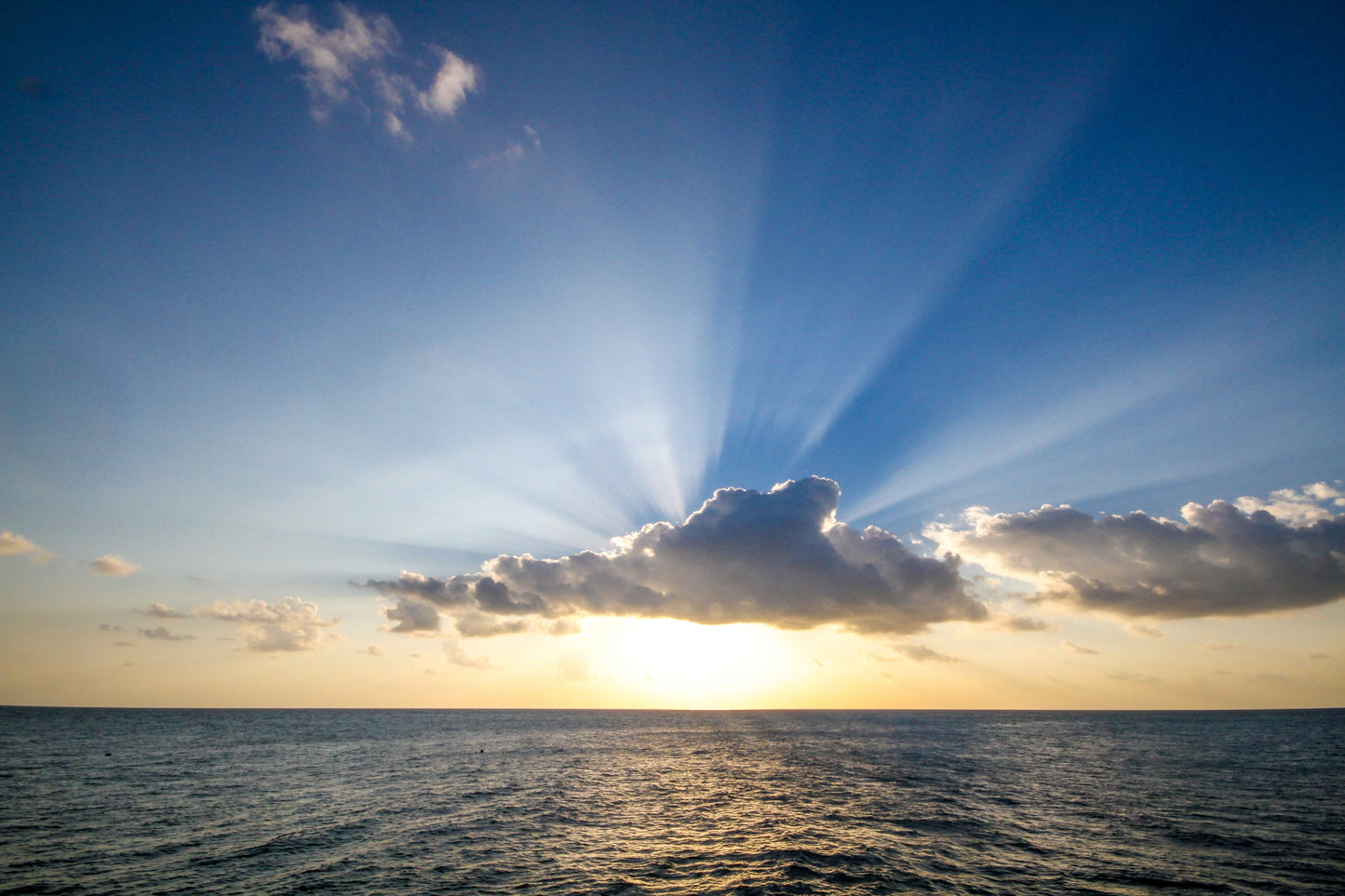 Holy Spirit & Angel Messages 1-1 via Zoom (1 Hour) or Phone β Unlimited Questions | π° Pay $88 via Venmo/PayPal/Zelle | Email starcanashores@gmail.com for Discount Link